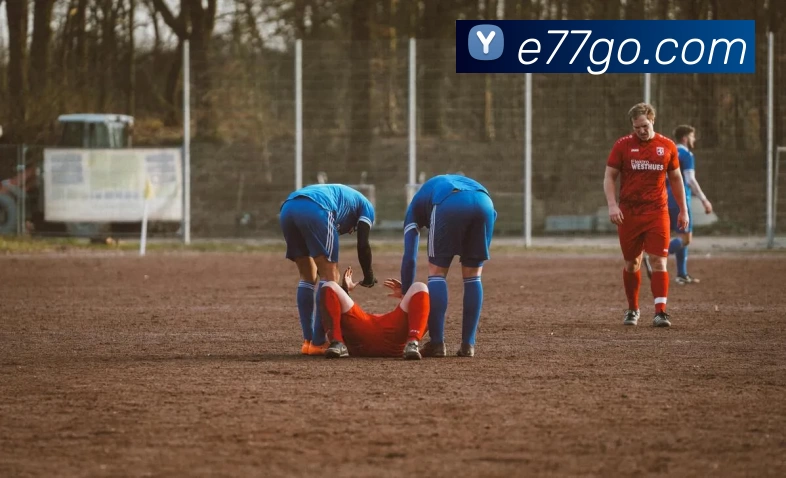 E扑克77官网APP 封面图