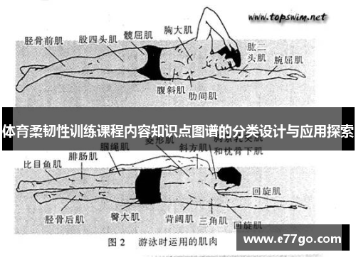 体育柔韧性训练课程内容知识点图谱的分类设计与应用探索